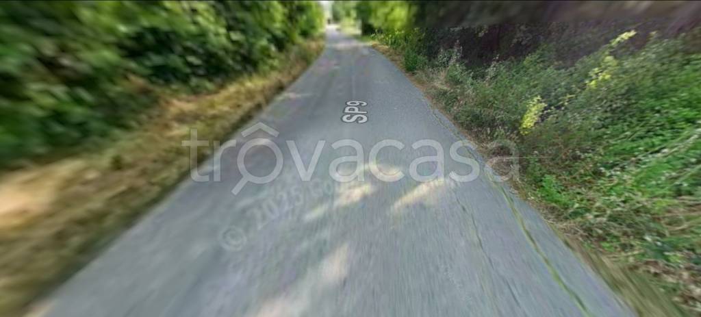 terreno agricolo in vendita a Poggio San Marcello in zona Gioncare