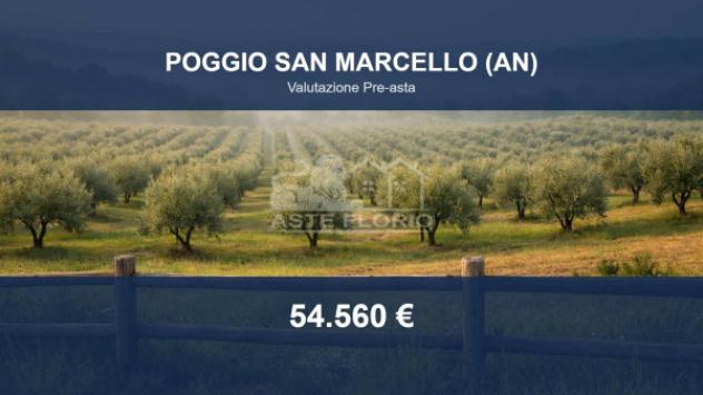 terreno agricolo in vendita a Poggio San Marcello in zona Gioncare