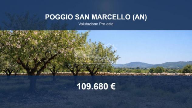 terreno agricolo in vendita a Poggio San Marcello in zona Gioncare