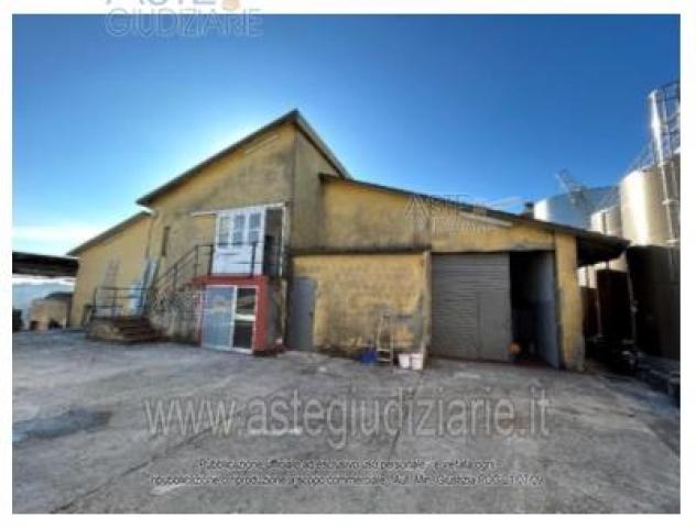 terreno agricolo in vendita a Poggio San Marcello in zona Gioncare