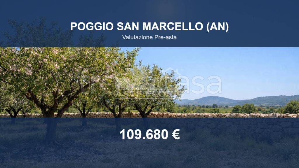 terreno agricolo in vendita a Poggio San Marcello in zona Gioncare