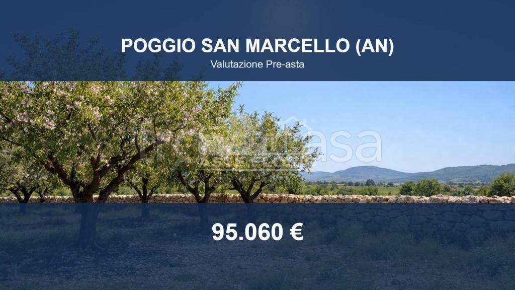 terreno agricolo in vendita a Poggio San Marcello in zona Gioncare