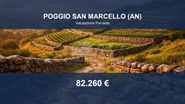terreno agricolo in vendita a Poggio San Marcello in zona Gioncare