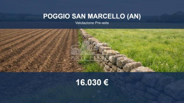 terreno agricolo in vendita a Poggio San Marcello