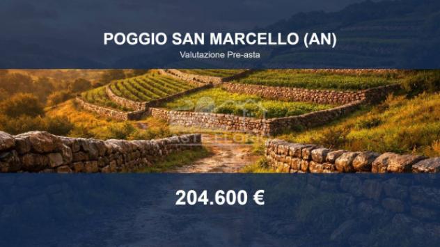 terreno agricolo in vendita a Poggio San Marcello in zona Gioncare