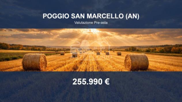 terreno agricolo in vendita a Poggio San Marcello