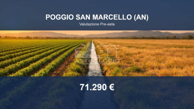 terreno agricolo in vendita a Poggio San Marcello in zona Gioncare