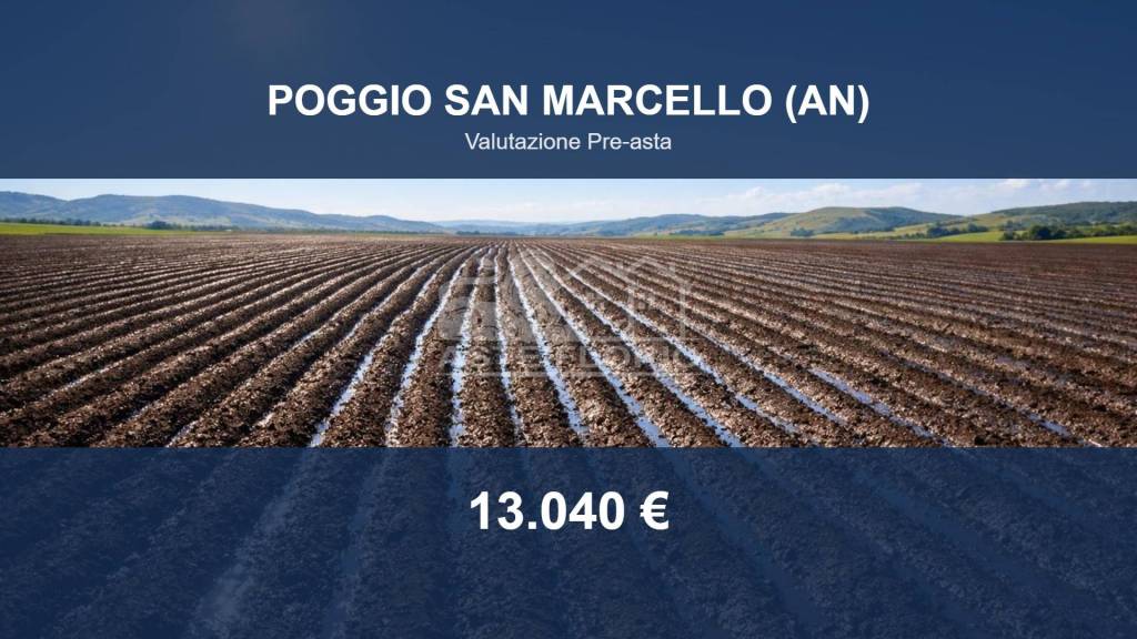 terreno agricolo in vendita a Poggio San Marcello in zona Gioncare