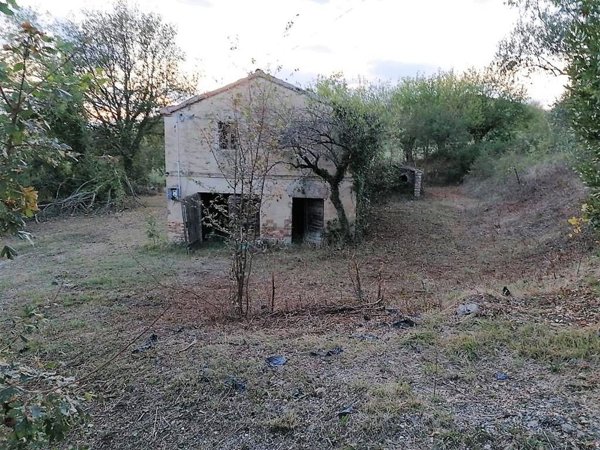 quadrivano in vendita a Polverigi
