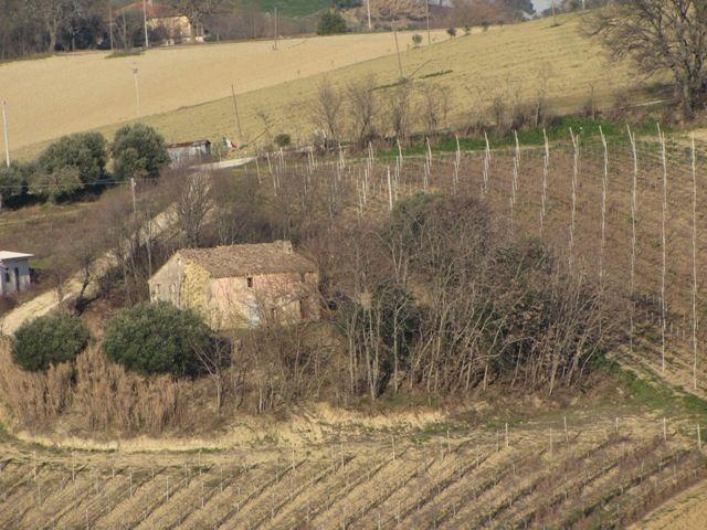 casa indipendente in vendita a Polverigi in zona Rustico