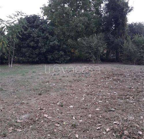 terreno agricolo in vendita a Polverigi