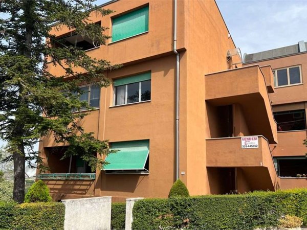 appartamento in vendita a Polverigi