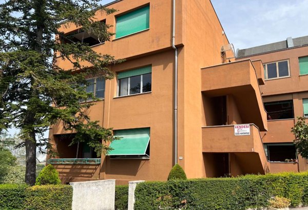 appartamento in vendita a Polverigi