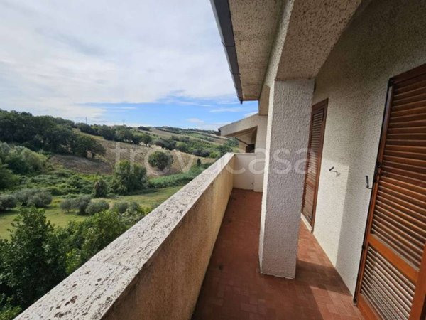 appartamento in vendita a Polverigi