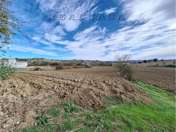 terreno agricolo in vendita a Polverigi