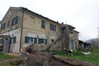 appartamento in vendita a Polverigi