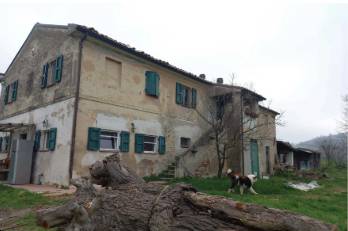appartamento in vendita a Polverigi