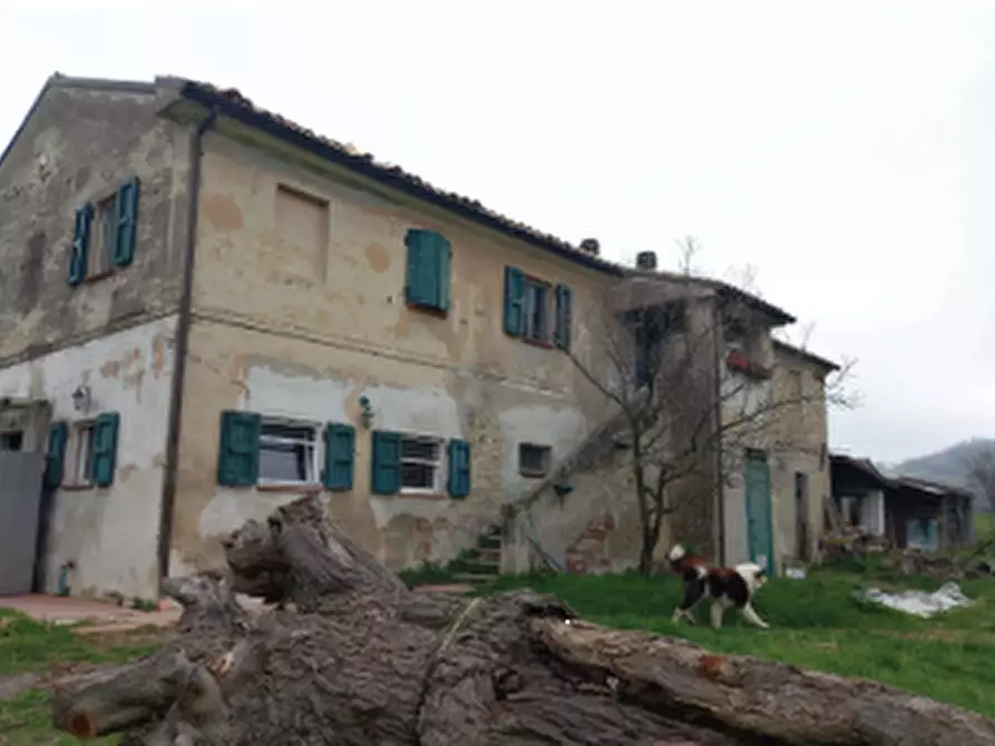 appartamento in vendita a Polverigi
