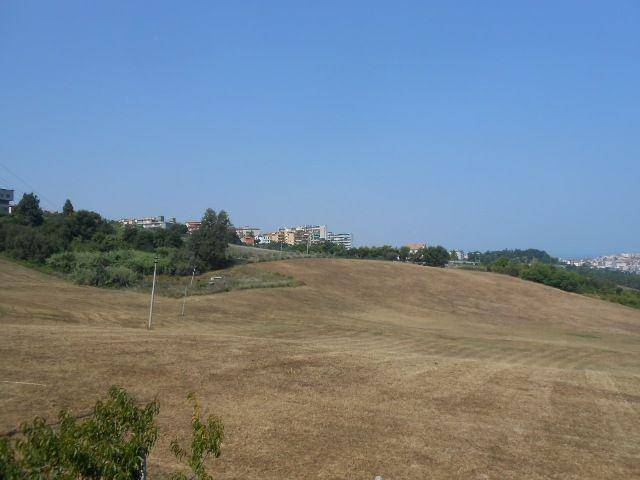casale in vendita a Polverigi in zona Rustico