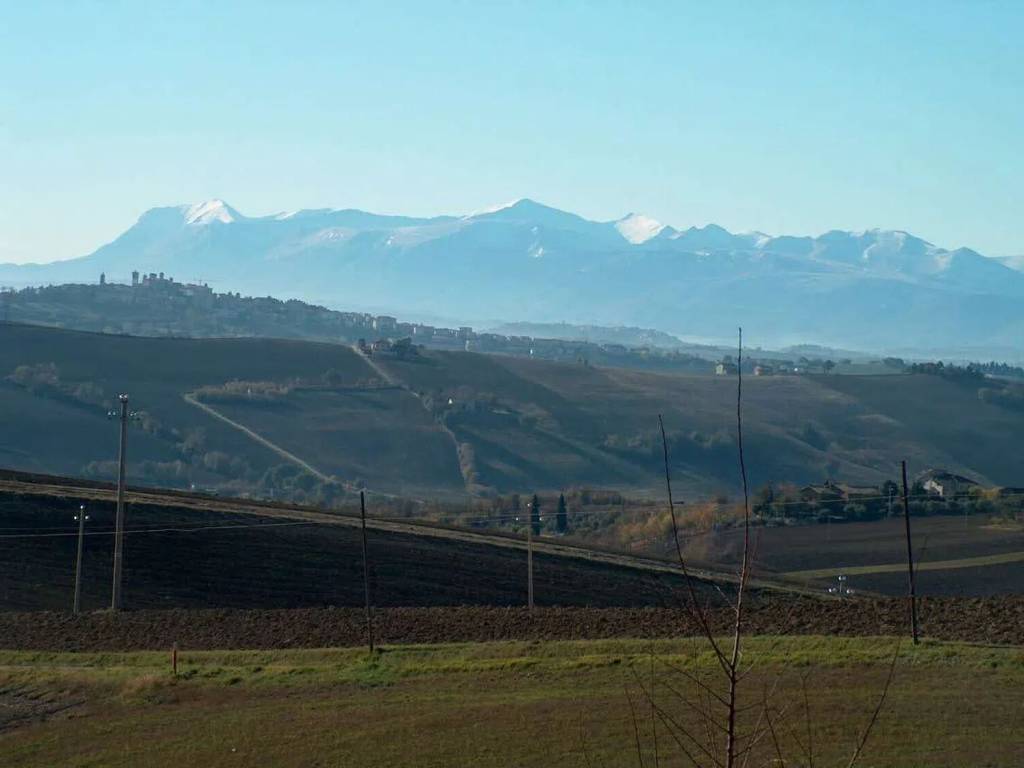terreno agricolo in vendita a Polverigi