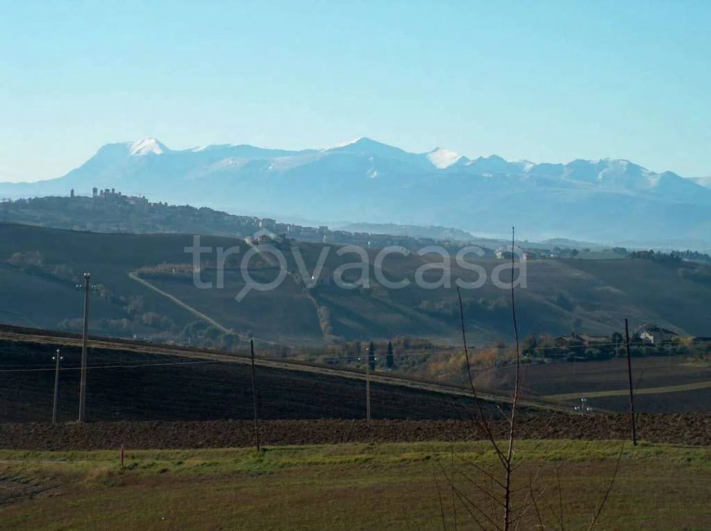 terreno agricolo in vendita a Polverigi