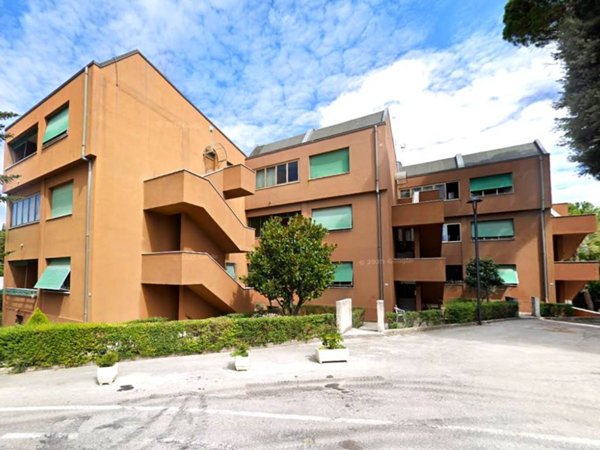 appartamento in vendita a Polverigi