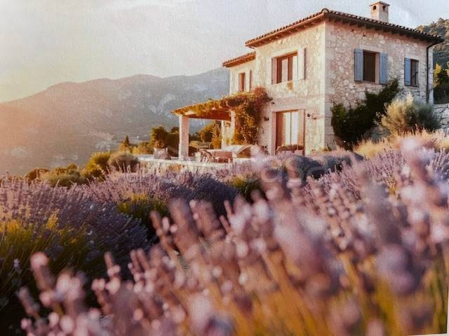 negozio in vendita a Polverigi