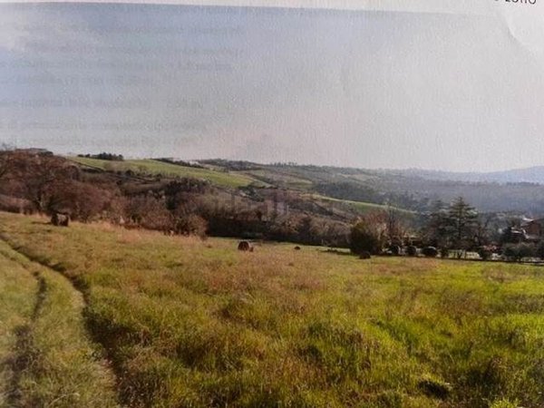 terreno edificabile in vendita a Polverigi