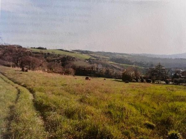 terreno edificabile in vendita a Polverigi