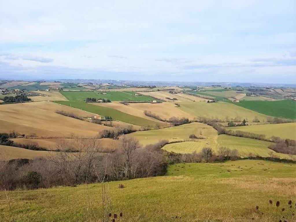 bifamiliare in vendita a Polverigi in zona Rustico