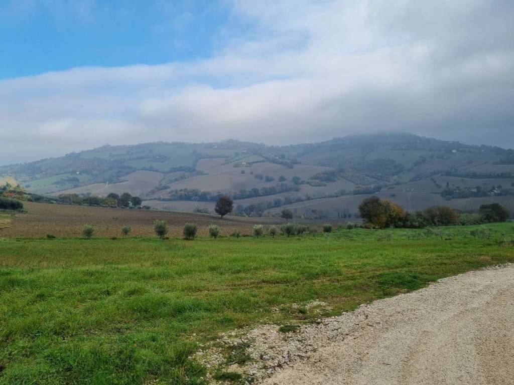 casa indipendente in vendita a Polverigi