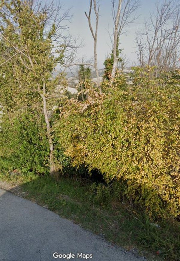 casa indipendente in vendita a Polverigi