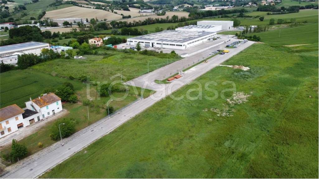terreno agricolo in vendita a Polverigi