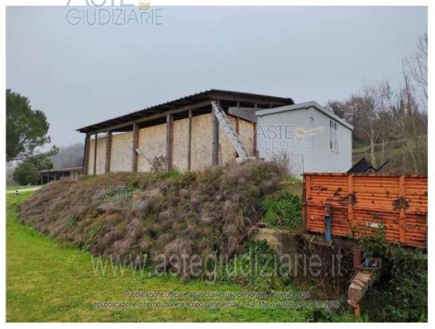 terreno agricolo in vendita a Polverigi