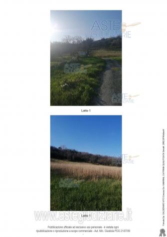 terreno agricolo in vendita a Rosora