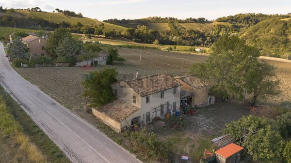 esavano in vendita a Rosora