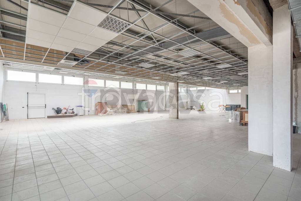 negozio in vendita a Rosora in zona Angeli