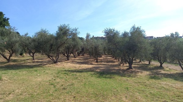 casa indipendente in vendita a San Marcello
