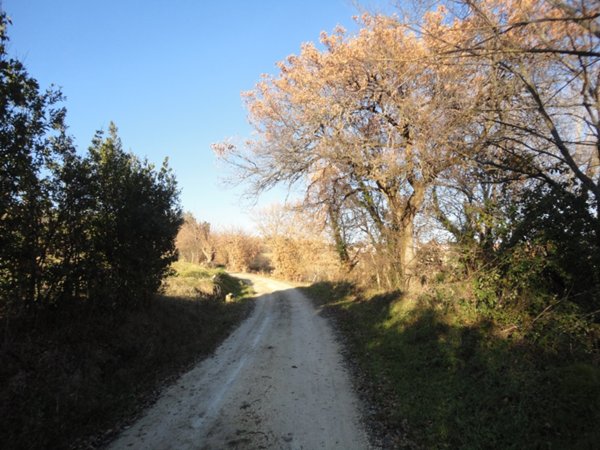 casa indipendente in vendita a San Marcello