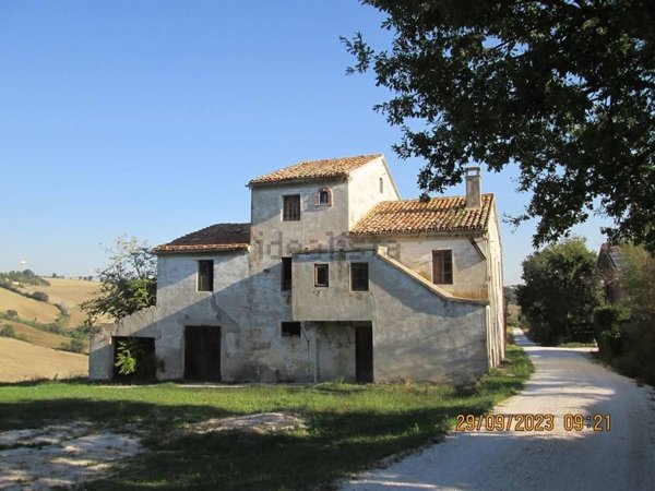 esavano in vendita a San Marcello