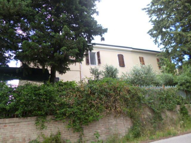 esavano in vendita a San Marcello