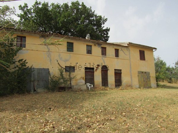 esavano in vendita a San Marcello