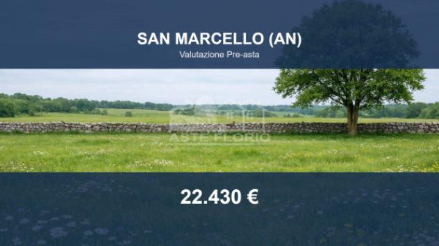 terreno agricolo in vendita a San Marcello