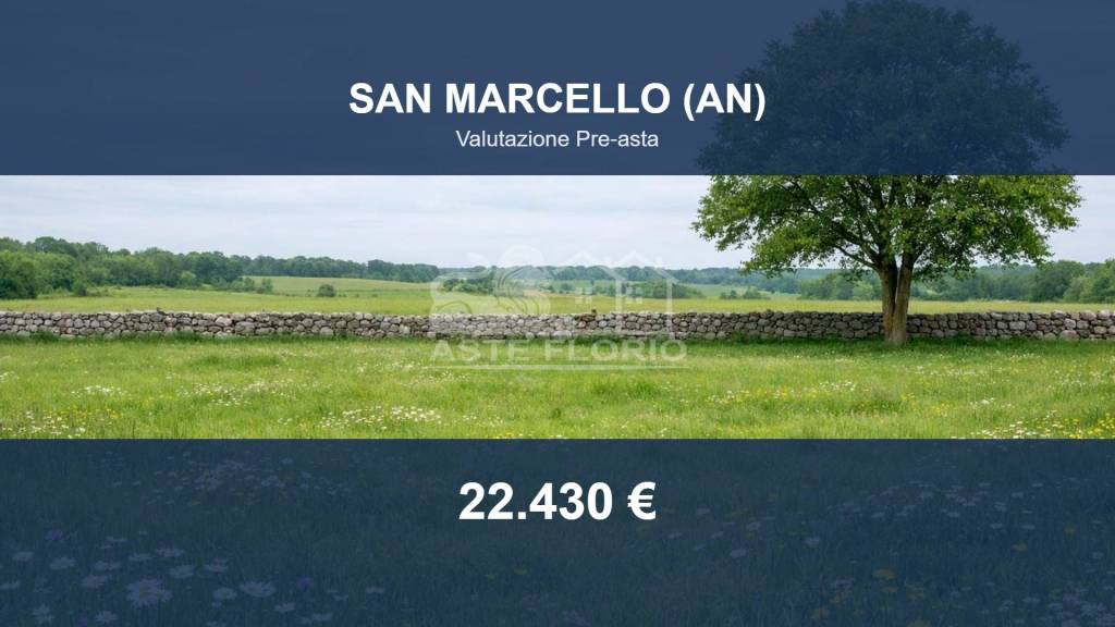 terreno agricolo in vendita a San Marcello