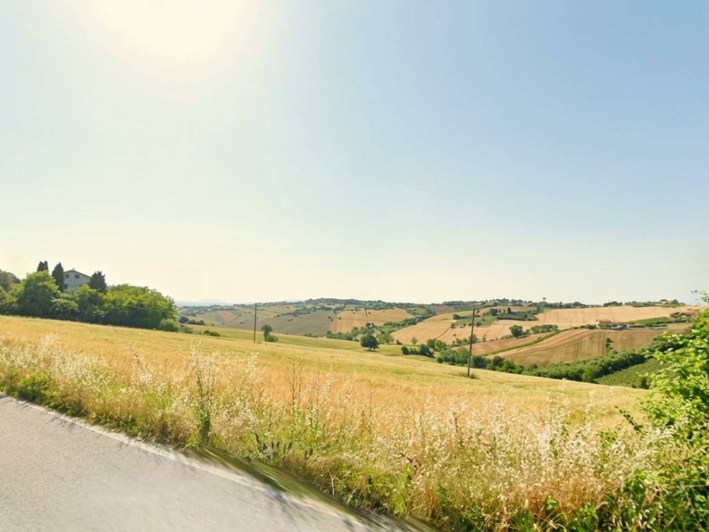 terreno agricolo in vendita a San Marcello