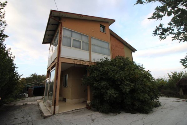 esavano in vendita a San Paolo di Jesi