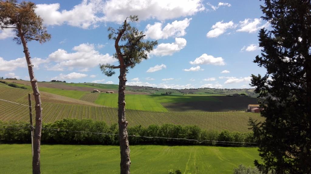 casa indipendente in vendita a San Paolo di Jesi