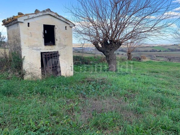 appartamento in vendita a San Paolo di Jesi