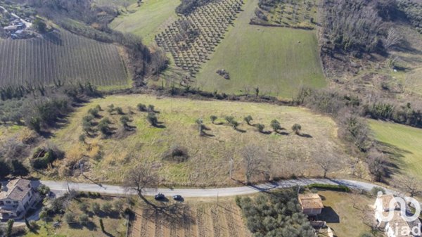 terreno agricolo in vendita a San Paolo di Jesi