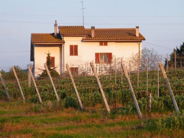 casa indipendente in vendita a San Paolo di Jesi